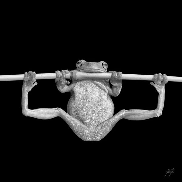 Office Humor: Training For Olympics by Kathrin Federer