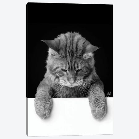 Cute Cat I Canvas Print #KFD59} by Kathrin Federer Canvas Print