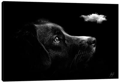 Discovering I Canvas Art Print - Dog Photography
