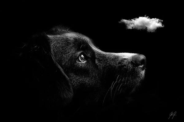 Minimalist Photography: Discovering I by Kathrin Federer