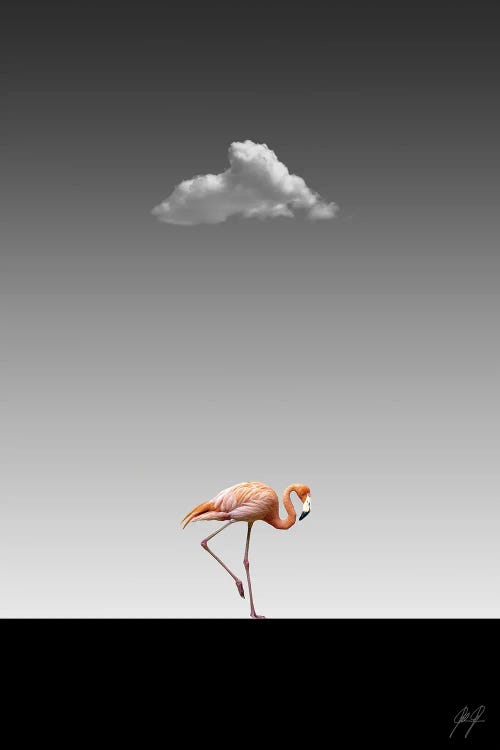 Flamingo Catwalk II