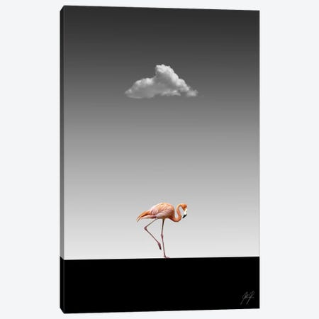 Flamingo Catwalk II Canvas Print #KFD65} by Kathrin Federer Canvas Print