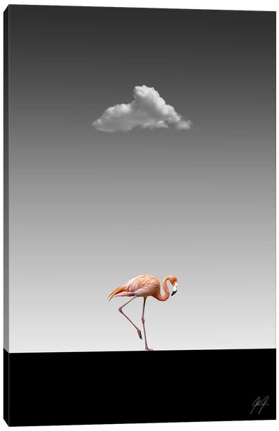 Flamingo Catwalk II Canvas Art Print - Kathrin Federer