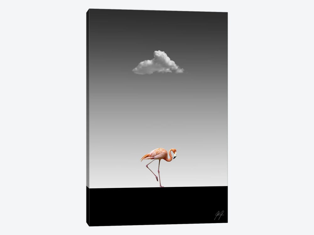 Flamingo Catwalk II by Kathrin Federer 1-piece Canvas Artwork