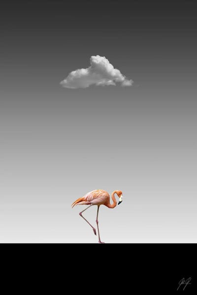 Animal Lover: Flamingo Catwalk II by Kathrin Federer