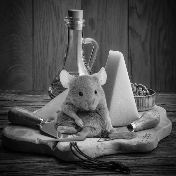 Rats: Glutton II by Kathrin Federer