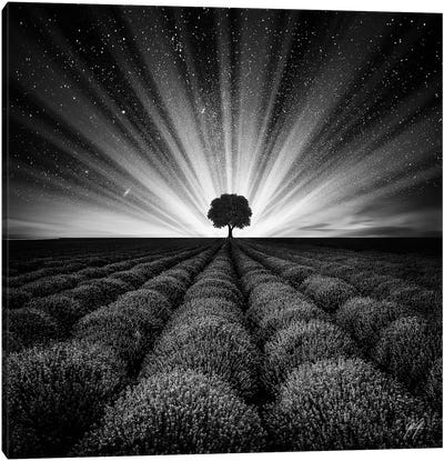 Illuminated Horizon I Canvas Art Print - Kathrin Federer