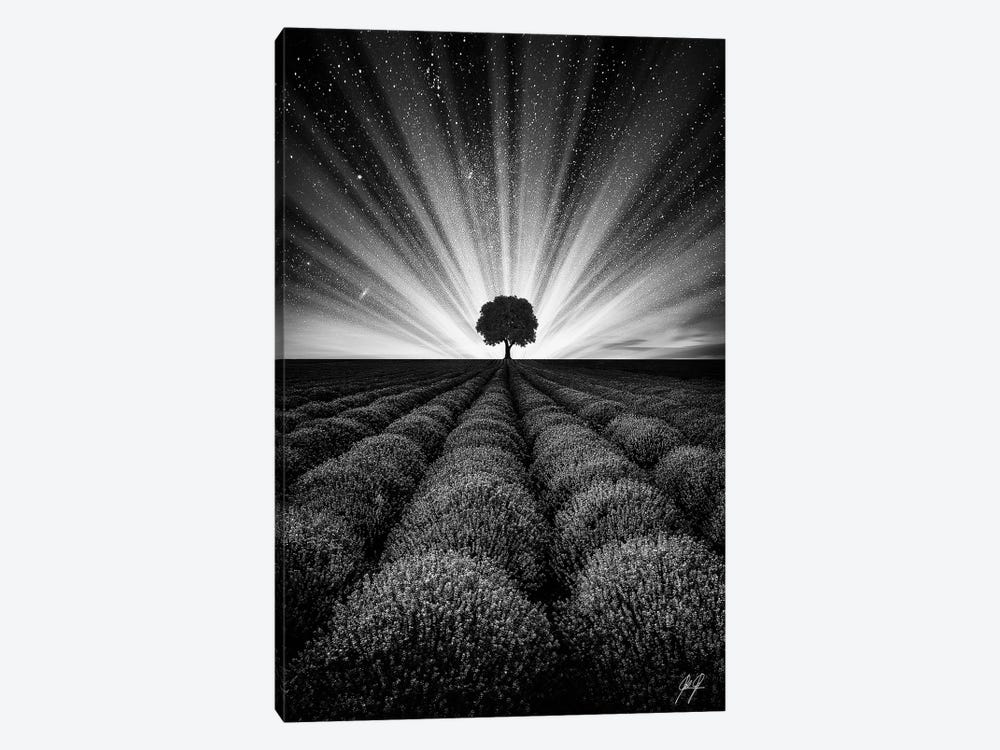 Illuminated Horizon II by Kathrin Federer 1-piece Canvas Artwork