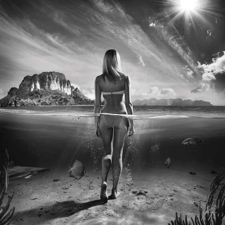 Bikini Girl I by Kathrin Federer wall art