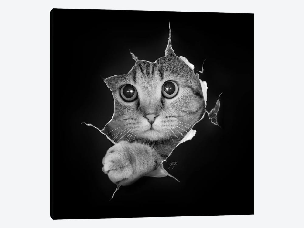 Just Checking by Kathrin Federer 1-piece Canvas Print