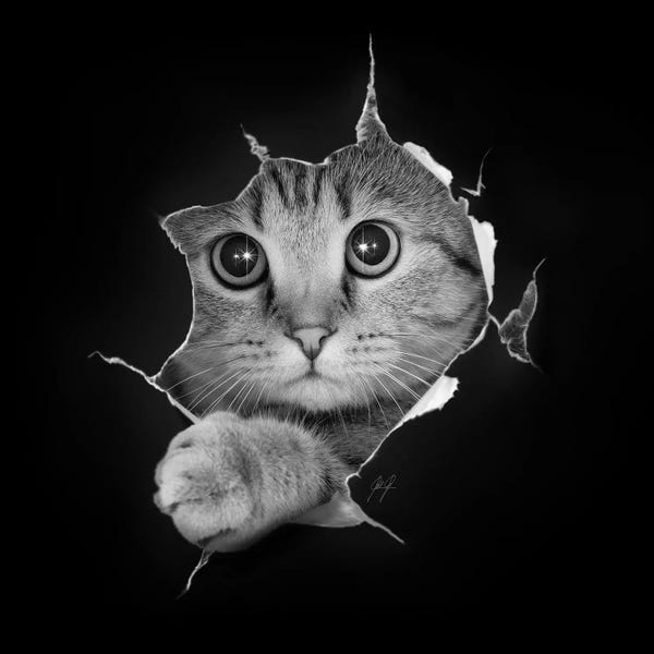 Kittens: Just Checking by Kathrin Federer