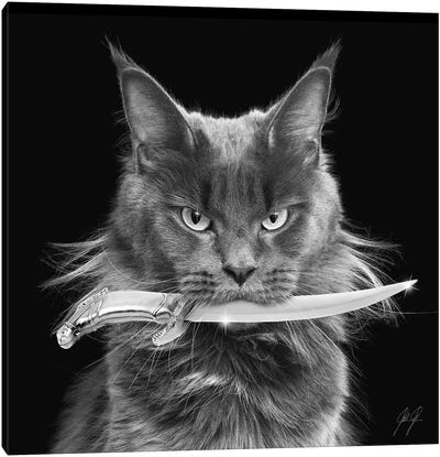 Killer Cat I Canvas Art Print - Gray Art