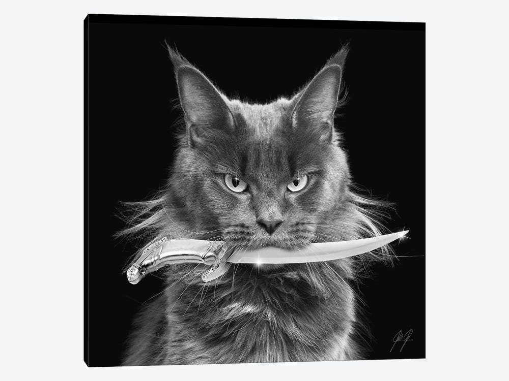 Killer Cat I by Kathrin Federer 1-piece Canvas Wall Art