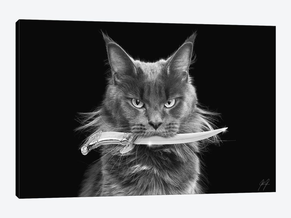 Killer Cat II by Kathrin Federer 1-piece Canvas Art Print