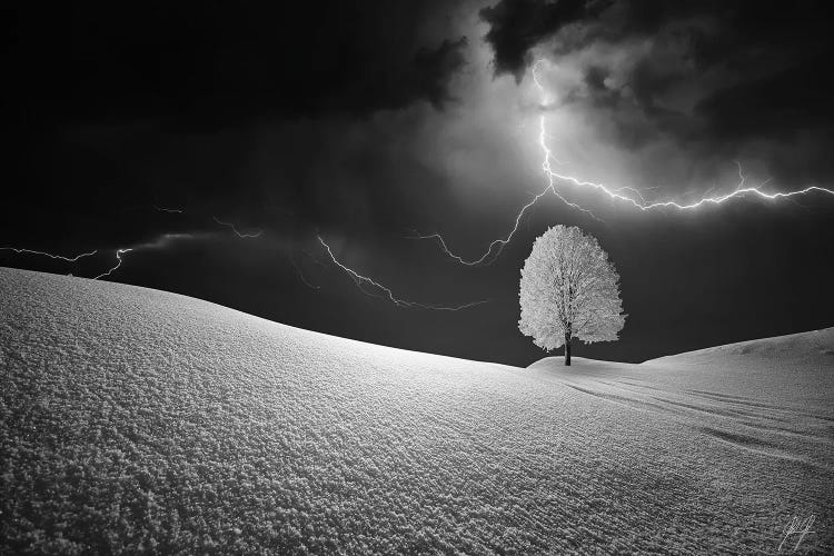 Lightning Tree