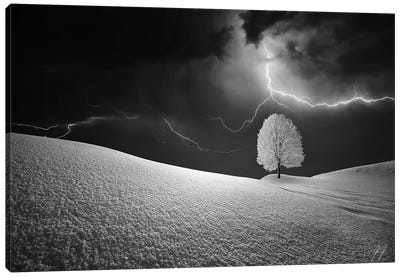 Lightning Tree Canvas Art Print - Black & White Minimalist Décor