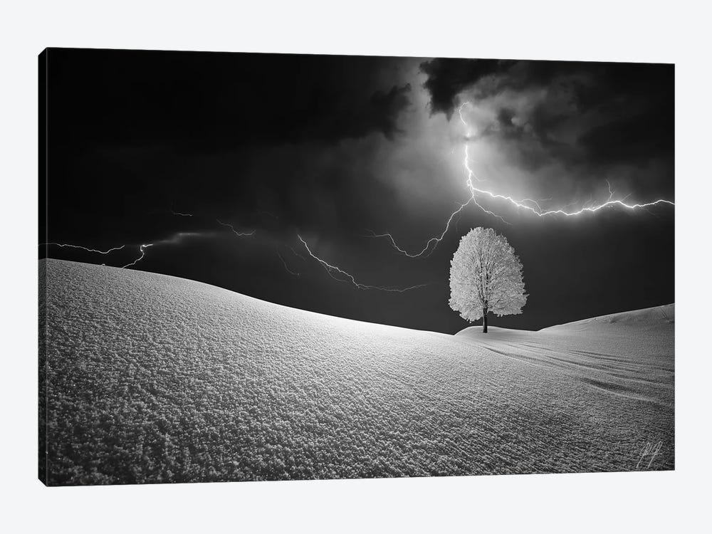 Lightning Tree by Kathrin Federer 1-piece Canvas Art