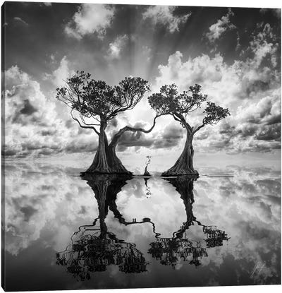 Mangrove Trees I Canvas Art Print - Composite Photography