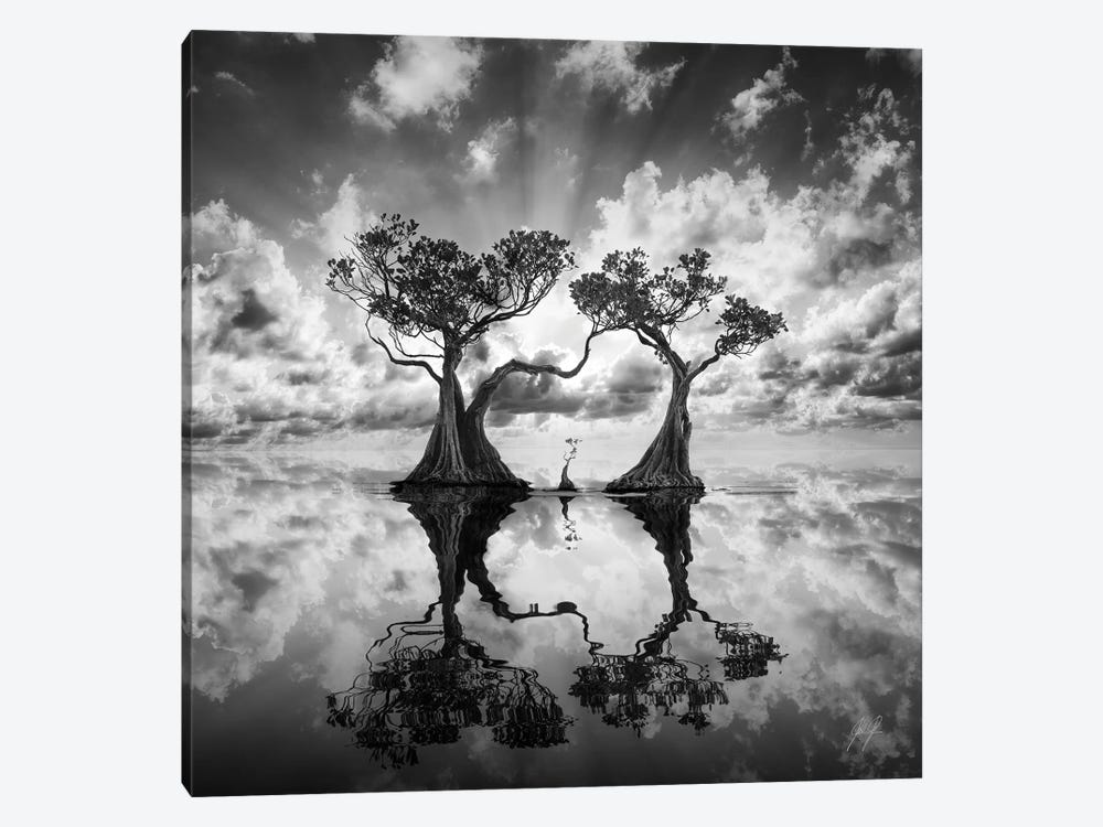 Mangrove Trees I by Kathrin Federer 1-piece Canvas Print