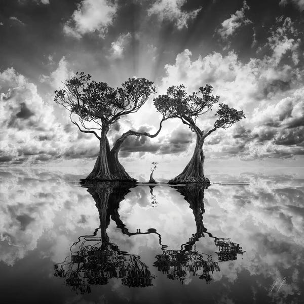Black & White Florals: Mangrove Trees I by Kathrin Federer