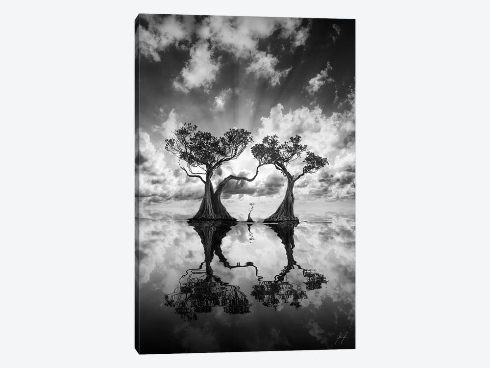 Mangrove Trees II by Kathrin Federer 1-piece Canvas Artwork