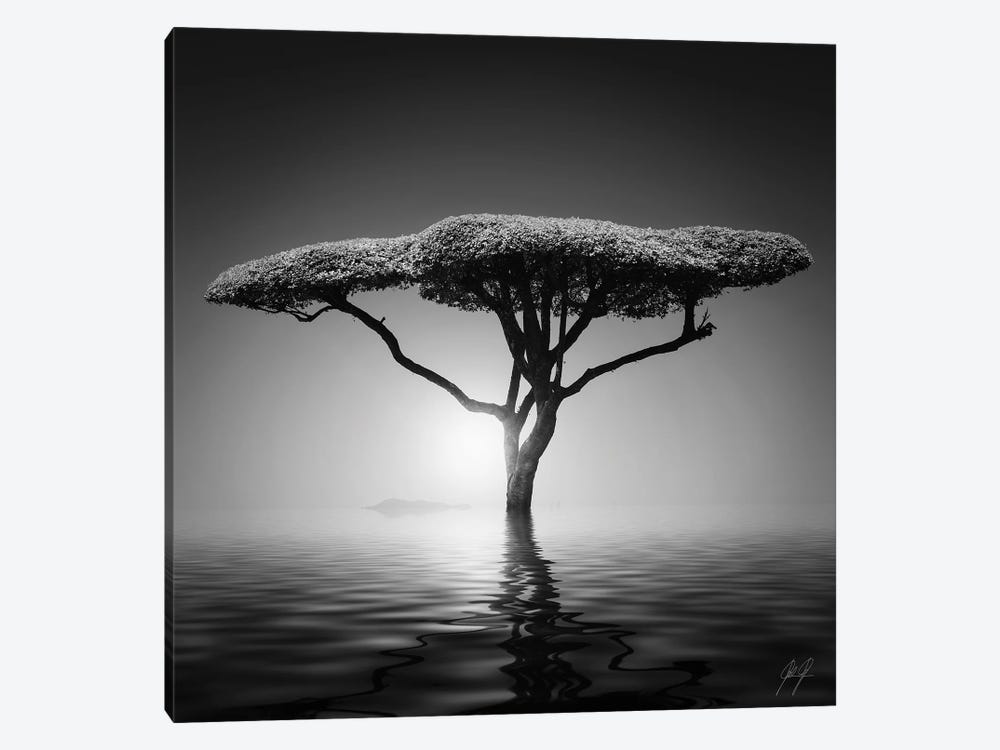 Mushroom Tree by Kathrin Federer 1-piece Art Print
