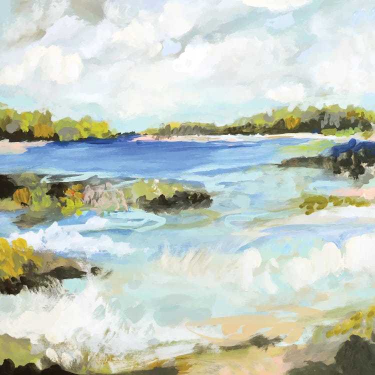 Surfscape II