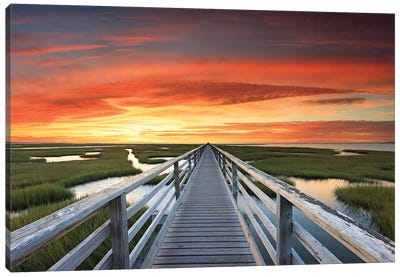 Greys Beach Sunset Canvas Art Print