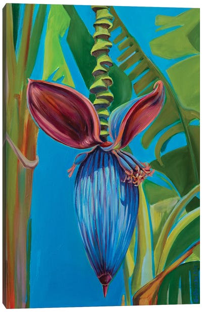 Banana Flower Canvas Art Print
