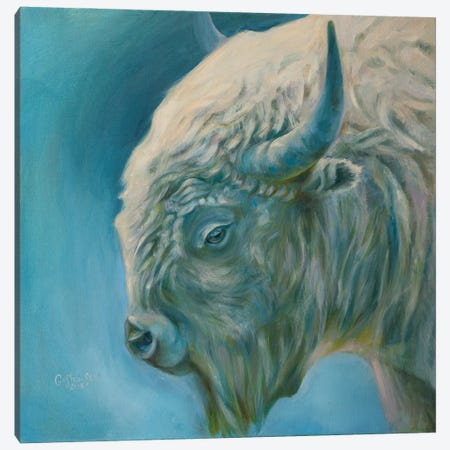 Bison Canvas Print #KGH8} by Kristi Goshovska Canvas Print