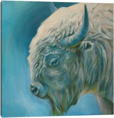 Bison Canvas Art Print
