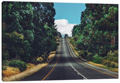 South African Road Canvas Art Print - South Africa