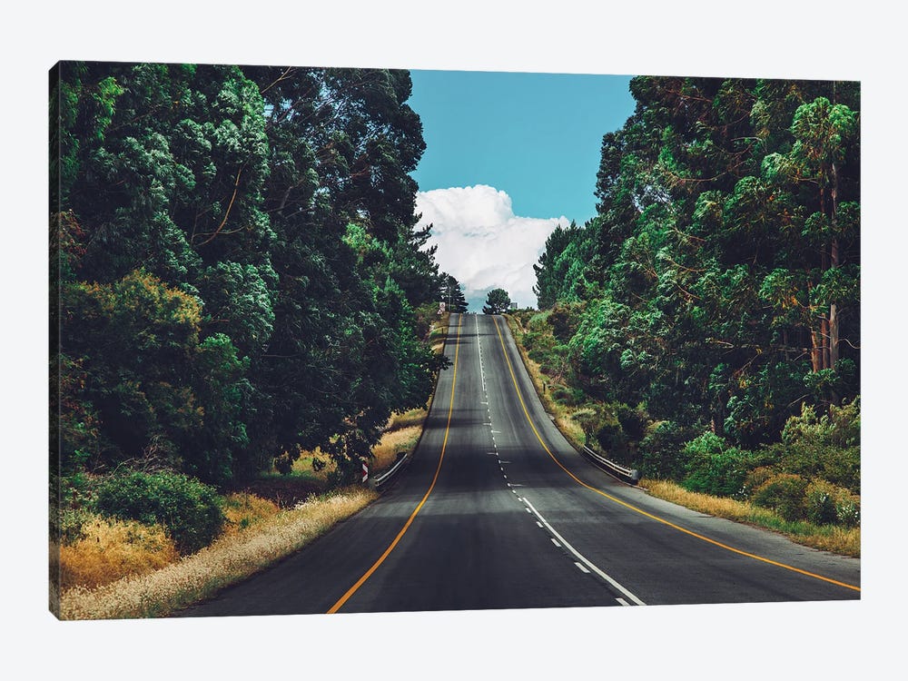 South African Road by Fxzebra 1-piece Canvas Wall Art
