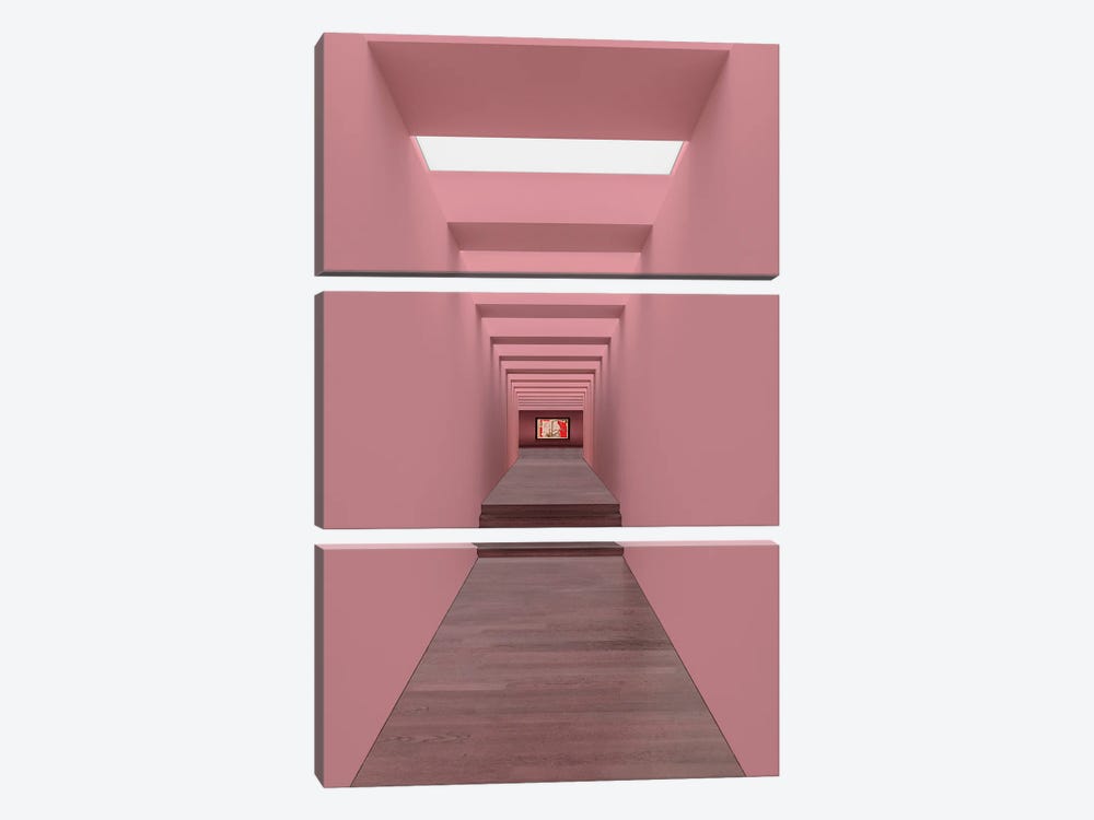 Pink Is Deep by Fxzebra 3-piece Canvas Art Print