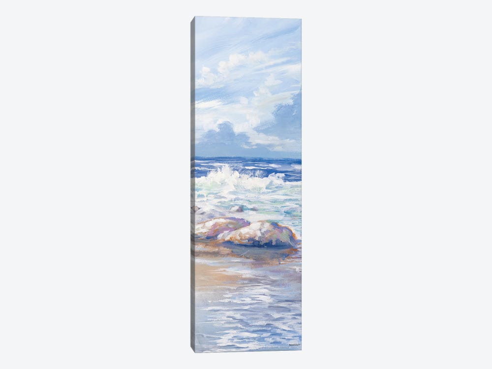 Beach Panel II by Kingsley 1-piece Canvas Print
