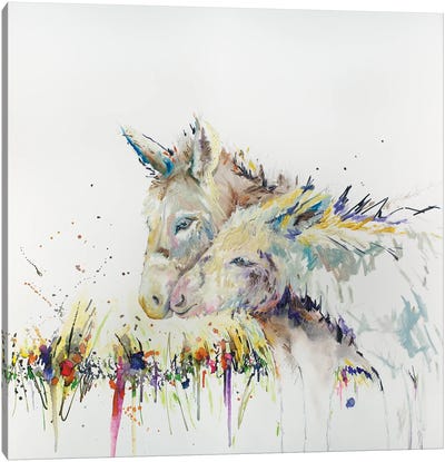 Snuggle Buddys Donkey Canvas Art Print - Kim Guthrie