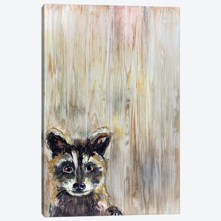 Baby Raccoon Canvas Print #KGU17} by Kim Guthrie Canvas Art