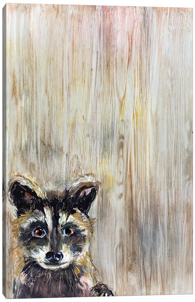 Baby Raccoon Canvas Art Print - Kim Guthrie