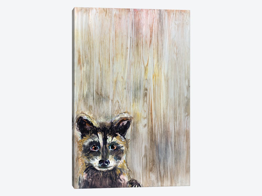 Baby Raccoon by Kim Guthrie 1-piece Canvas Art Print