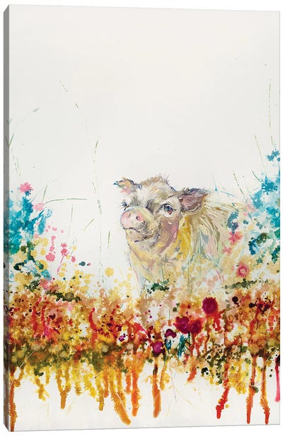 Mini Pig Canvas Art Print - Kim Guthrie