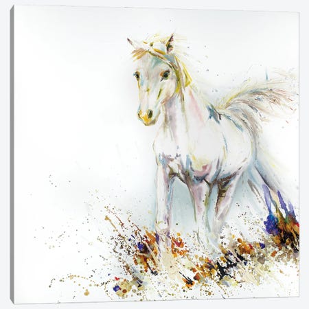 White Horse Starfire Canvas Print #KGU19} by Kim Guthrie Art Print
