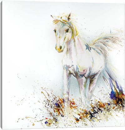 White Horse Starfire Canvas Art Print