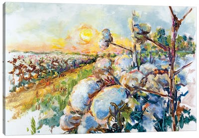 Delta Dawn Cotton Farm Canvas Art Print - Cotton Art
