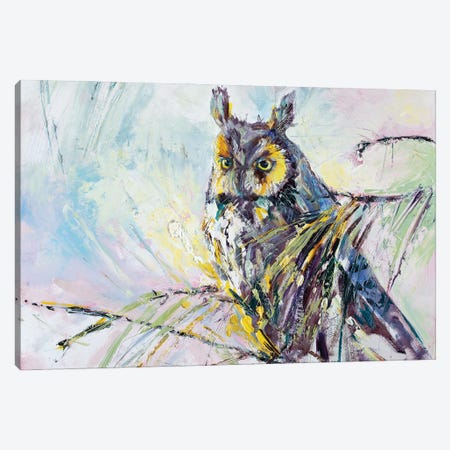 Serenity Owl Painting Canvas Print #KGU26} by Kim Guthrie Art Print