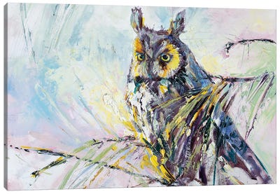 Serenity Owl Painting Canvas Art Print - Kim Guthrie