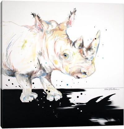 Baby Rhino Sees His Shadow Canvas Art Print - Kim Guthrie