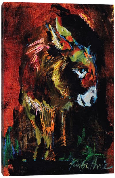 Donkey Boy From The Farm Canvas Art Print - Donkey Art