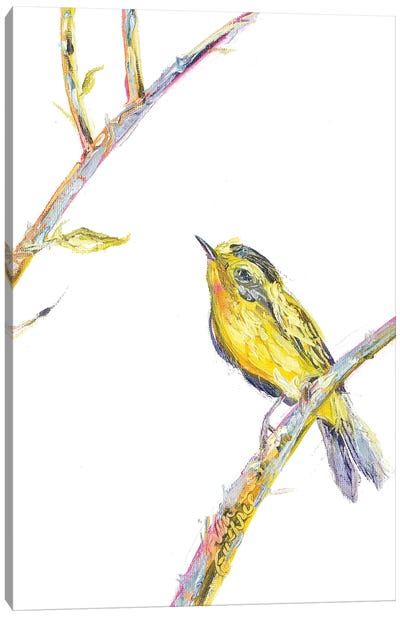 Bird Painting Of A Wilsons Warbler Canvas Art Print - Warbler Art