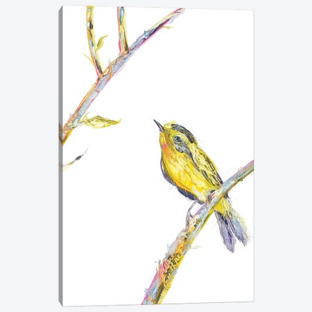 Bird Painting Of A Wilsons Warbler Canvas Print #KGU35} by Kim Guthrie Canvas Art