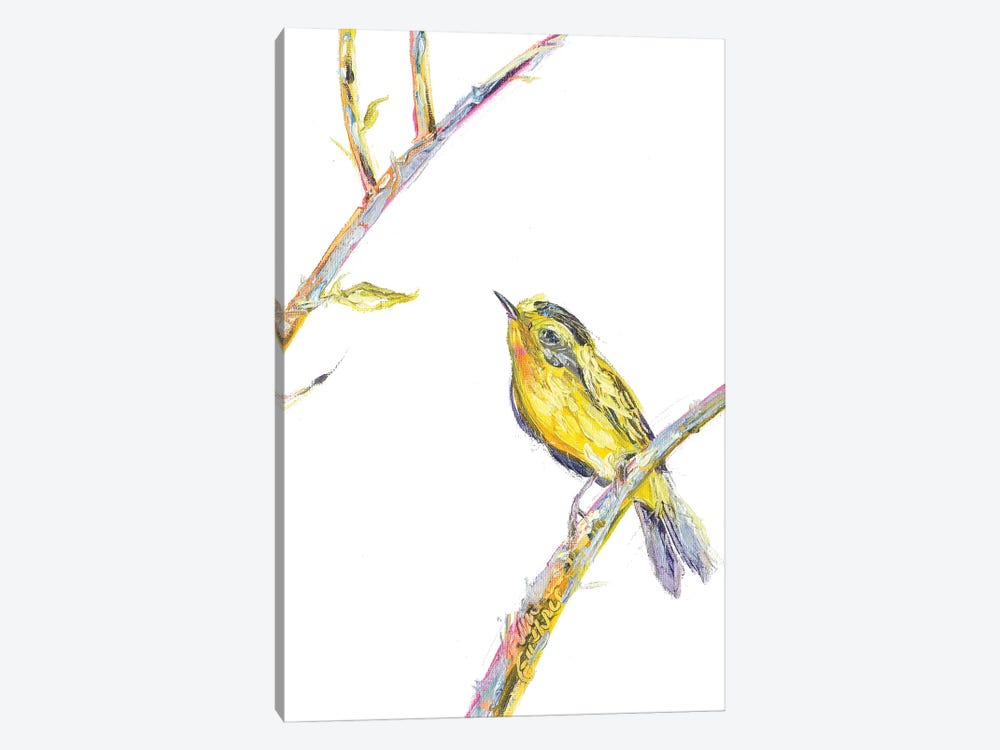 Bird Painting Of A Wilsons Warbler by Kim Guthrie 1-piece Canvas Print